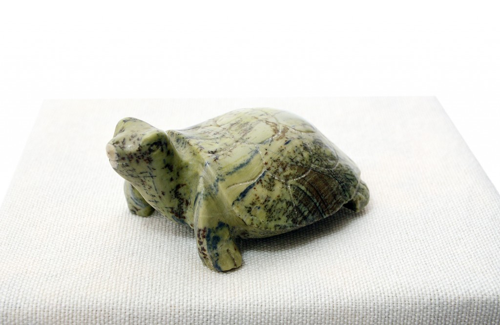Tortoise Mv6133